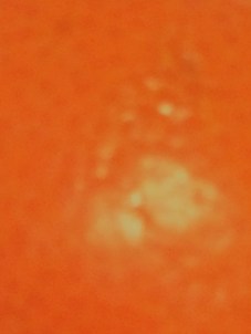 Orange is the New Bleak 1 (3)